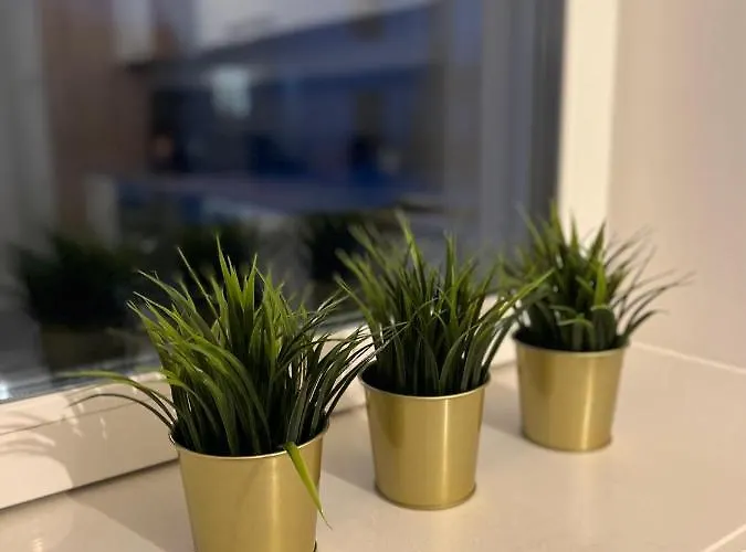 Lägenhet Exklusive 2 Eg Mit Balkon In Lage! *