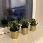 Апартаменти Exklusive 2 Eg Mit Balkon In Lage! *